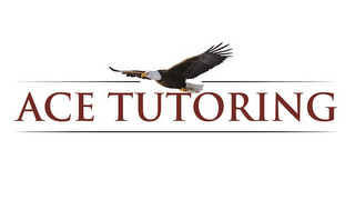 ACE TUTORING logo