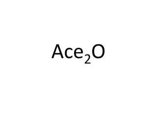 ACE2O logo