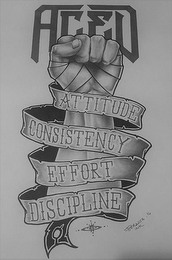 ACED ATTITUDE CONSISTENCY EFFORT DISCIPLINE PERALTA 16 INK