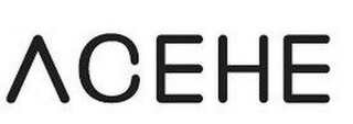 ACEHE logo