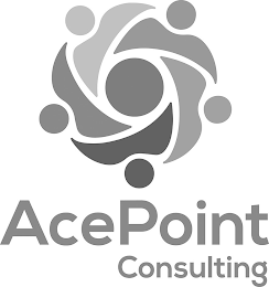 ACEPOINT CONSULTING logo