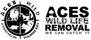 ACES WILD LIFE REMOVAL WE CAN CATCH IT ACES WILD LIFE REMOVAL WE CAN CATCH IT logo
