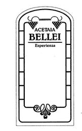 ACETAIA BELLEI ESPERIENZA logo