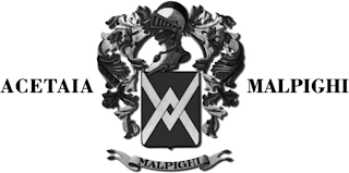 ACETAIA MALPIGHI MALPIGHI logo