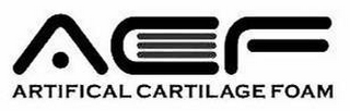 ACF ARTIFICAL CARTILAGE FOAM logo