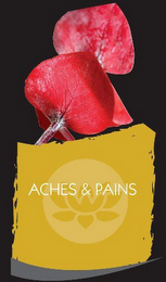 ACHES & PAINS logo