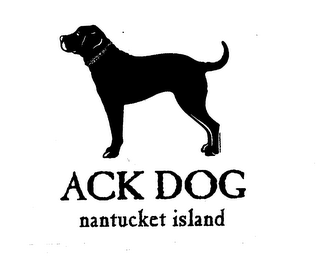 ACK DOG NANTUCKET ISLAND logo