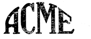 ACME logo