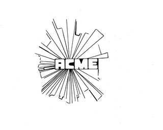 ACME logo