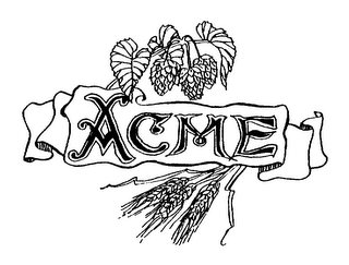 ACME logo