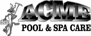 ACME ACME POOL & SPA CARE logo