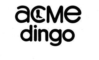 ACME DINGO logo