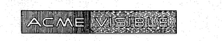 ACME VISIBLE logo
