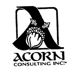 ACORN CONSULTING INC. logo