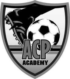 ACP ACADEMY logo
