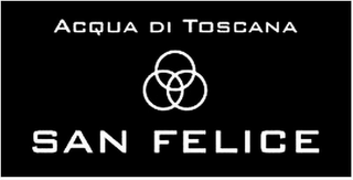 ACQUA DI TOSCANA SAN FELICE logo