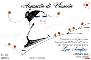 ACQUAVITE DI VINACCIA logo