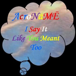 ACRONAME I SAY IT LIKE YOU MEANT TOO logo