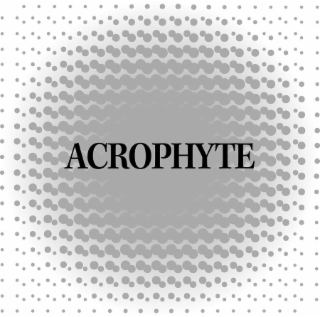 ACROPHYTE logo