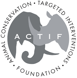 ACTIF ANIMAL CONSERVATION TARGETED INTERVENTIONS FOUNDATION logo