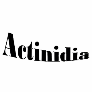ACTINIDIA logo