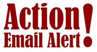ACTION EMAIL ALERT! logo