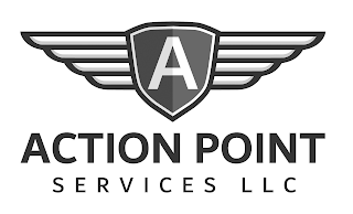 ACTION POINT SERVICES LLC logo