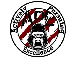 ACTIVELY PURSUING EXCELLENCE, APE, ROARING APE, FOUR STRIPE MARKS, TWO CIRCLES. logo