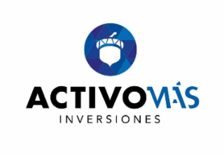 ACTIVO MAS INVERSIONES logo