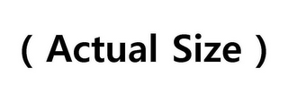 ( ACTUAL SIZE ) logo