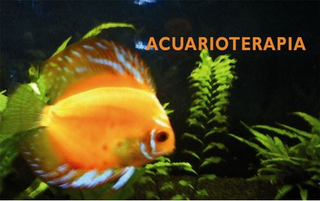 ACUARIOTERAPIA logo