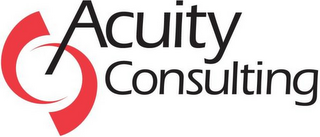 ACUITY CONSULTING logo