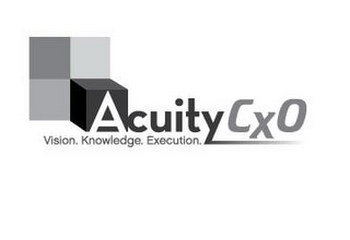 ACUITY CXO VISION. KNOWLEDGE. EXECUTION. logo