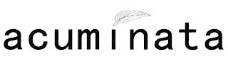 ACUMINATA logo