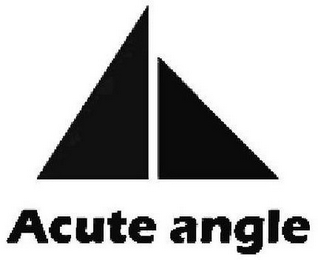 ACUTE ANGLE logo