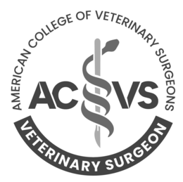 ACVS AMERICAN COLLEGE OF VETERINARY SURGEONS VETERINARY SURGEON