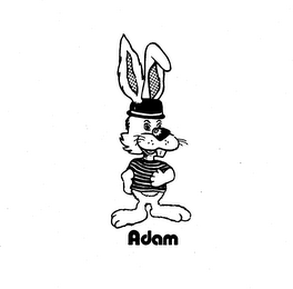 ADAM logo