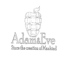 ADAM & EVE SINCE THE CREATION OF MANKIND logo