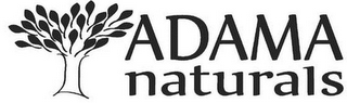 ADAMA NATURALS logo