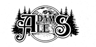 ADAMS ALE logo