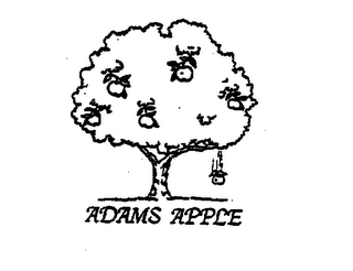 ADAMS APPLE logo