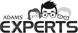 ADAMS EXPERTS logo