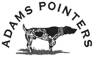 ADAMS POINTERS logo