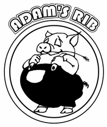 ADAM'S RIB logo