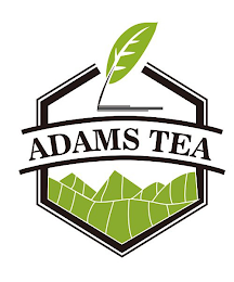 ADAMS TEA logo