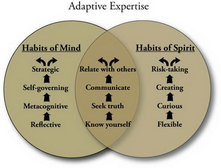 ADAPTIVE EXPERTISE HABITS OF MIND STRATEGIC SELF-GOVERNING METACOGNITIVE REFLECTIVE HABITS OF SPIRIT RISK-TAKING CREATING CURIOUS FLEXIBLE RELATE WITH OTHERS COMMUNICATE SEEK TRUTH KNOW YOURSELF logo