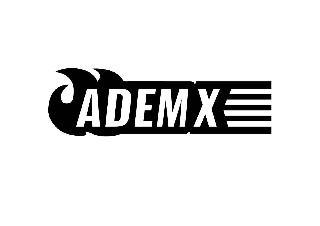 ADEM X logo