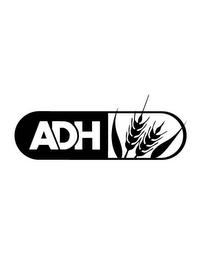 ADH logo