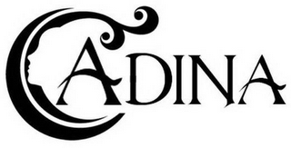 ADINA logo