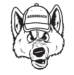 ADIRONDACK logo